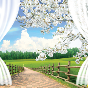 Tranh dán tường 3D