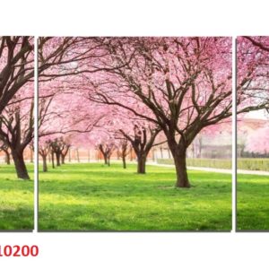 TRANH GHÉP TREO TƯỜNG